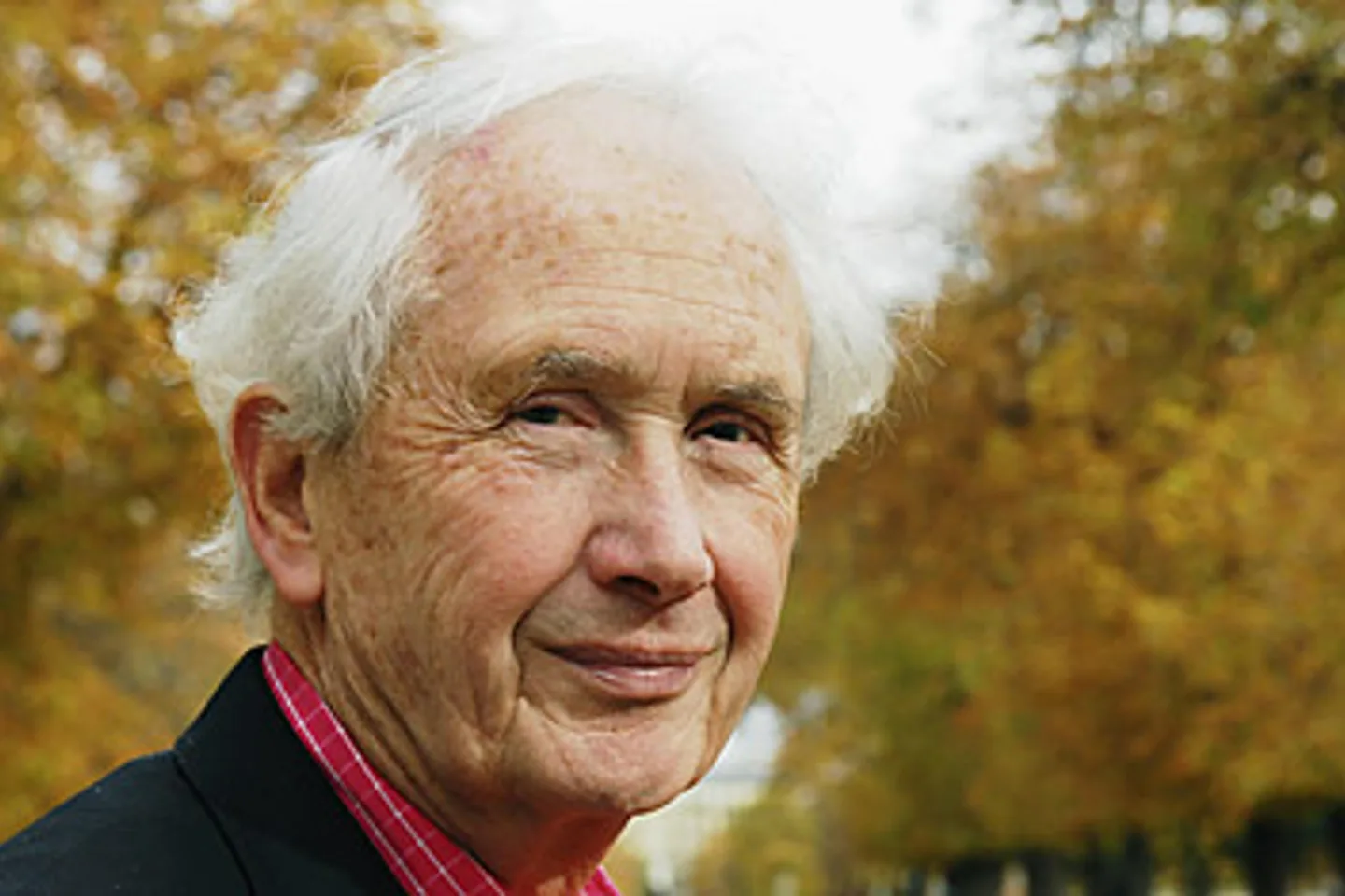 Portrait of Frank McCourt